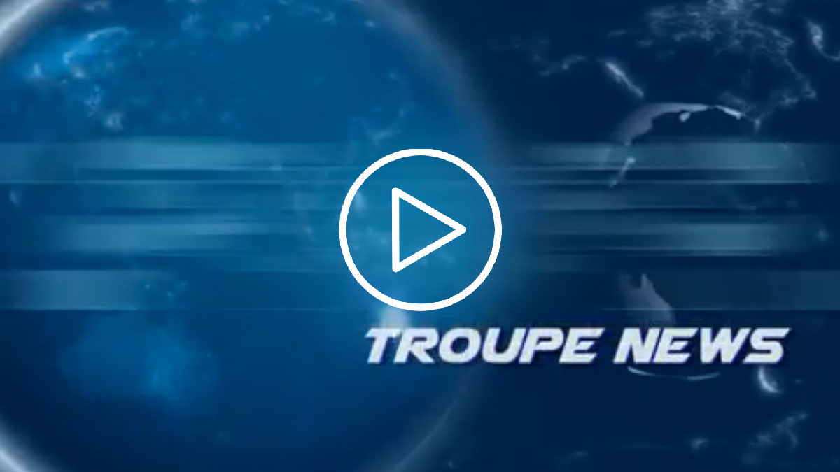 tnews
